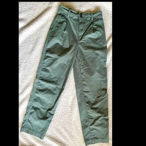 Everlane Pleated Chinos